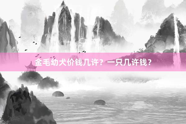 金毛幼犬价钱几许？一只几许钱？